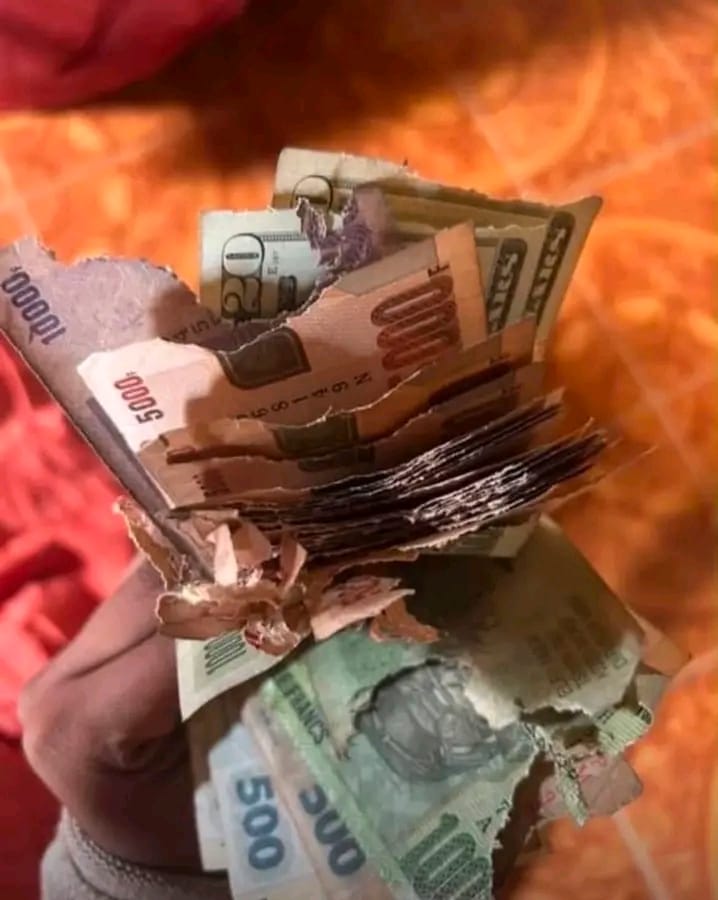 🛑 RDC 🇨🇩 | Sankuru